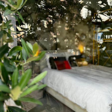 Daen'S Greenhouse 乌得勒支 外观 照片