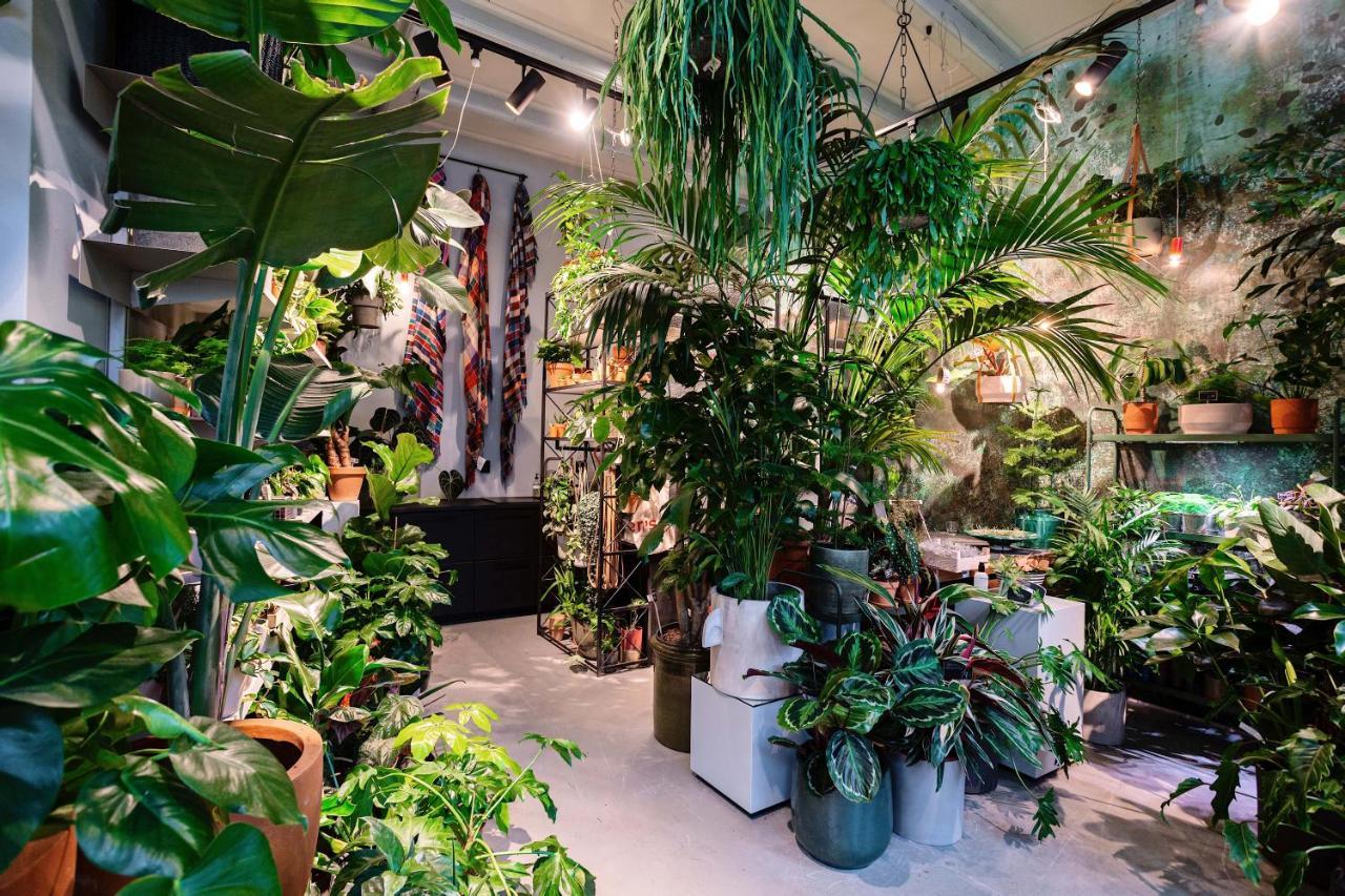 Daen'S Greenhouse 乌得勒支 外观 照片